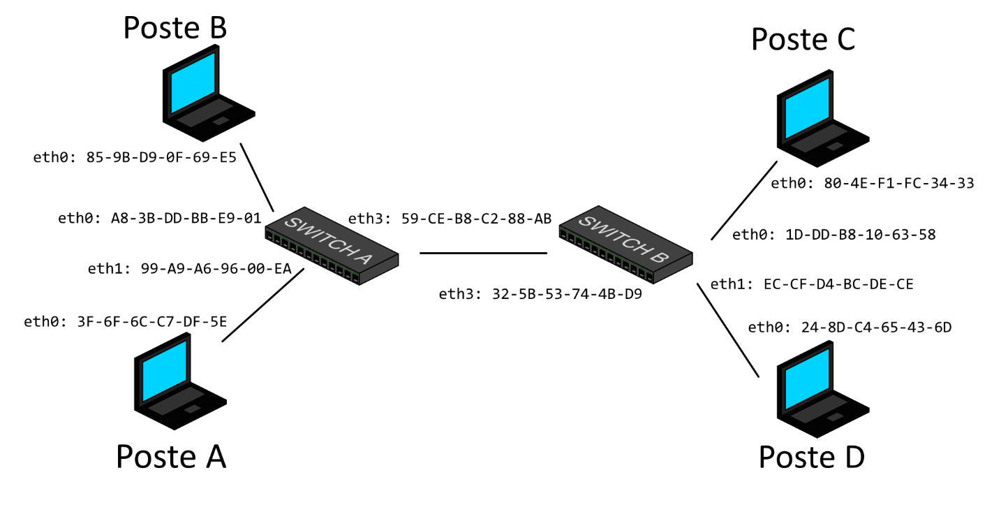 Topologie à considérer pour l&#39;exercice Ethernet et LAN